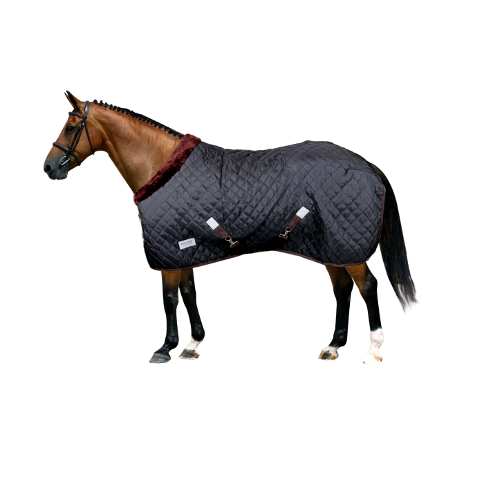 Horses Quazar Stable Rug 400gr