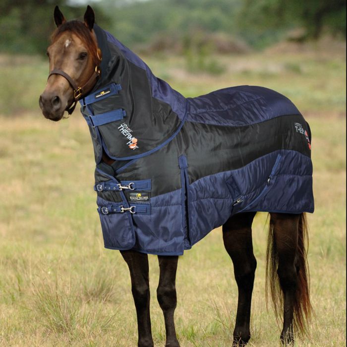 Horses Thermo HOT Stable Rug + Neck Cover 300g