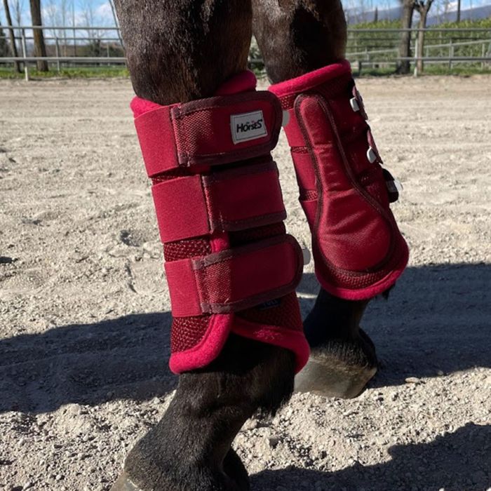 Horses Gamaschen Mesh Boots 4er Set