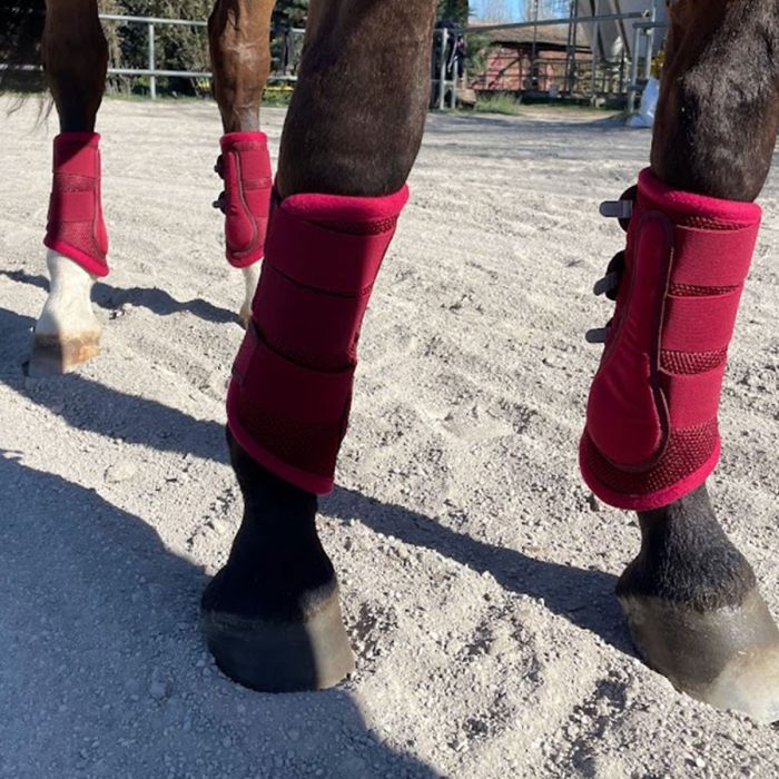 Horses Gamaschen Mesh Boots 4er Set