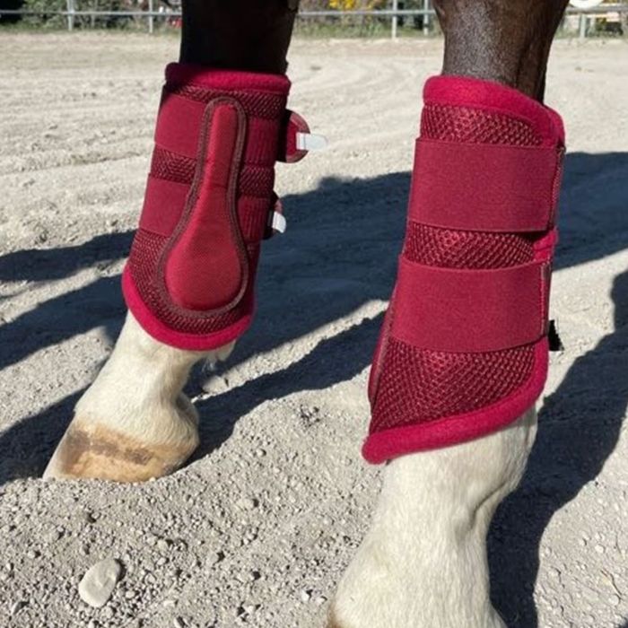 Horses Gamaschen Mesh Boots 4er Set