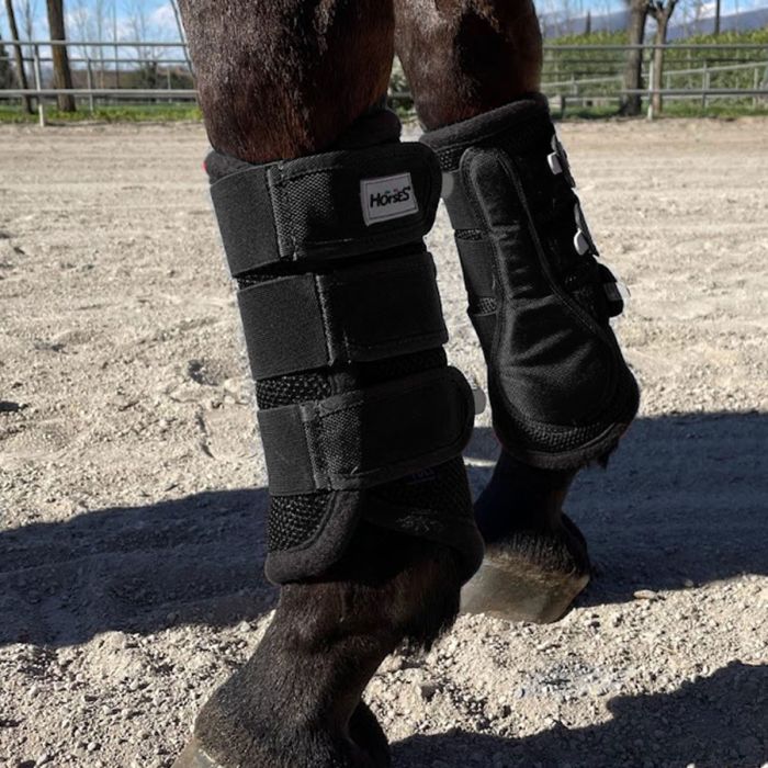 Horses Gamaschen Mesh Boots 4er Set