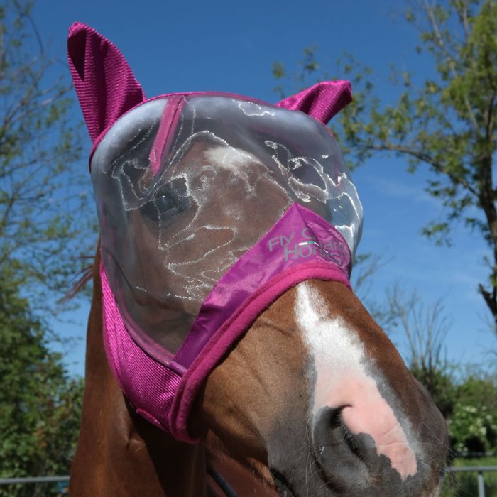 Horses Fliegenschutz Maske Fly Guard