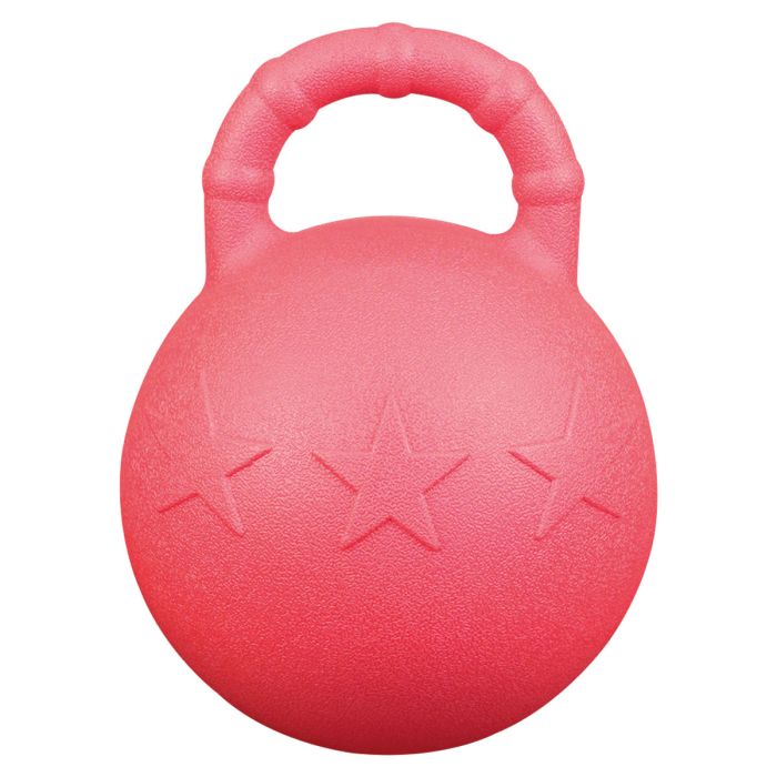 Horses Happy Play Ball