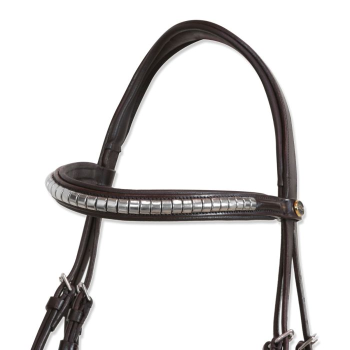 Bride Equitation Horses Tasting Pro