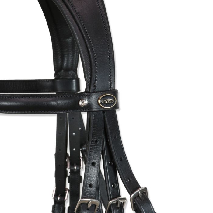 Briglia Morso Filetto  Horses Achen