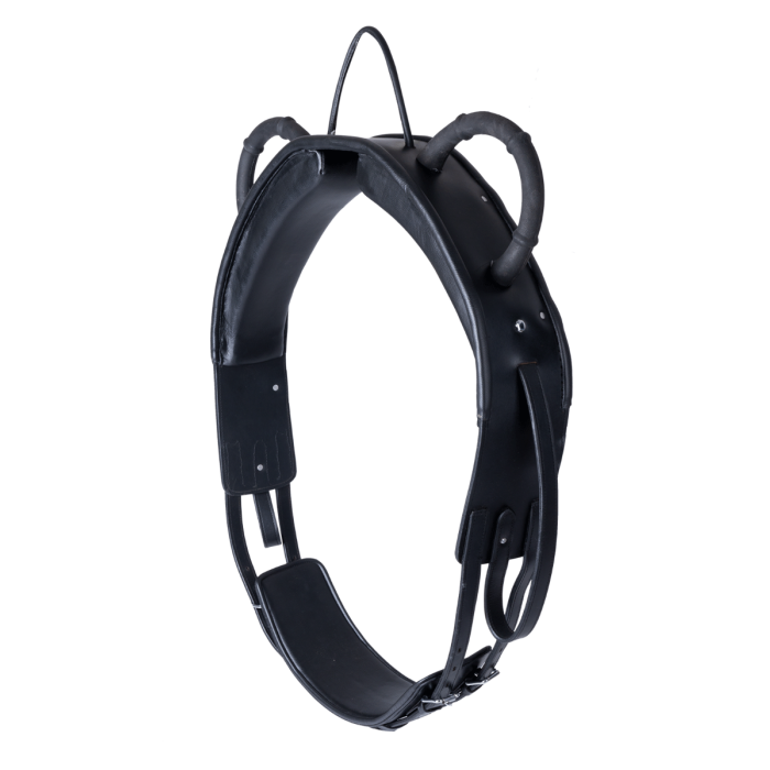 Vaulting Surcingle