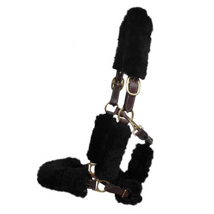 Licol Protection Laine Merinos