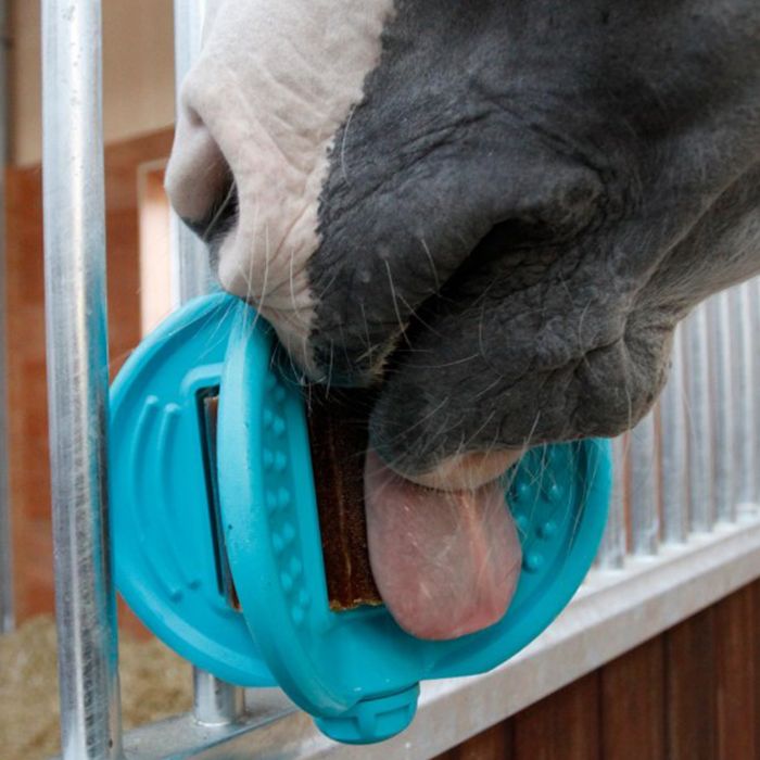 Salzstein Halter Für Bizzy Horses 