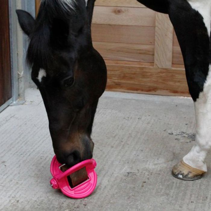 Salzstein Halter Für Bizzy Horses 
