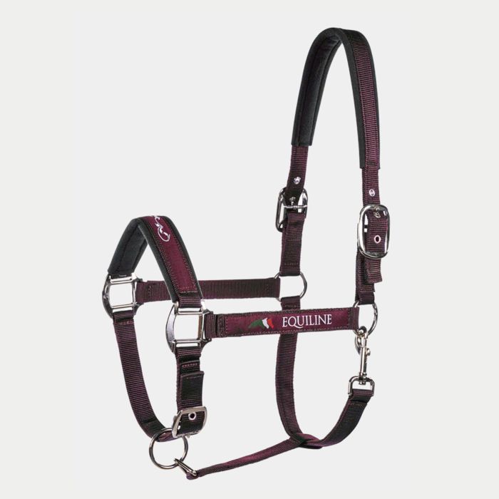 Cavezza Equiline Timmy