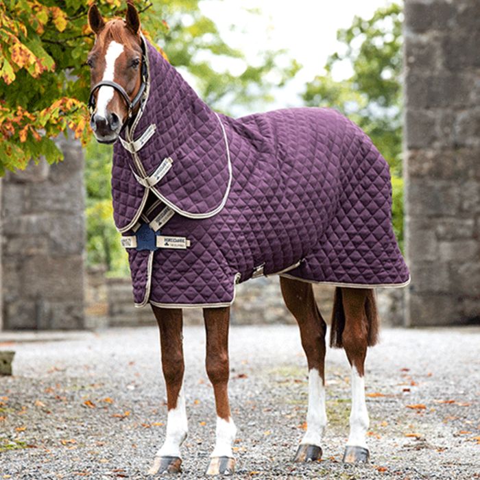 Horseware Amigo Stable Rug Medium Disc 200g Tosoni Selleria