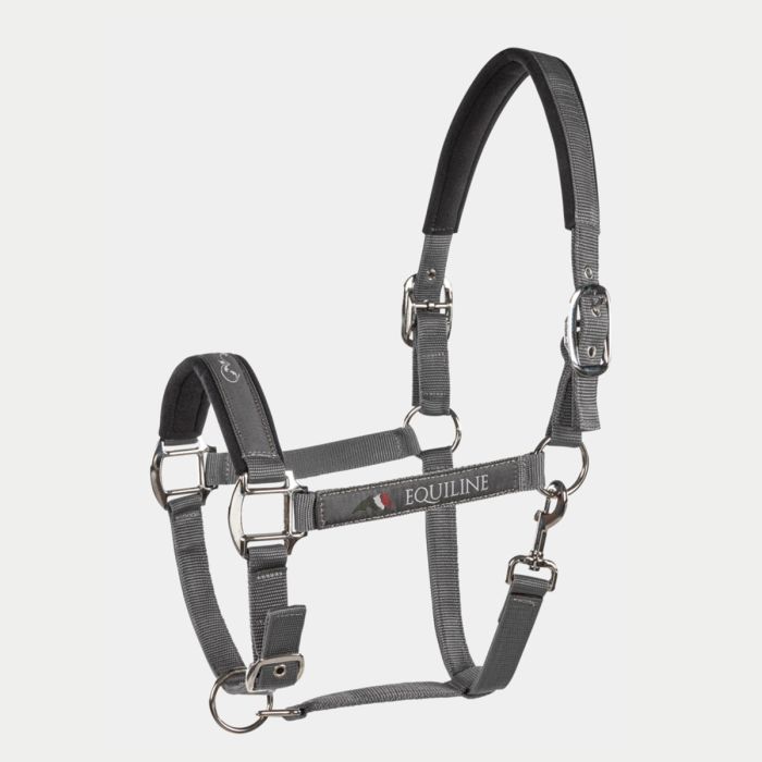 Cavezza Equiline Timmy