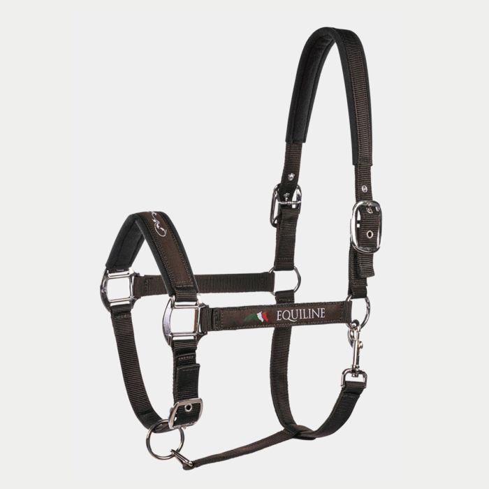 Cavezza Equiline Timmy