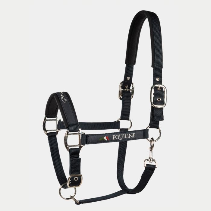 Cavezza Equiline Timmy