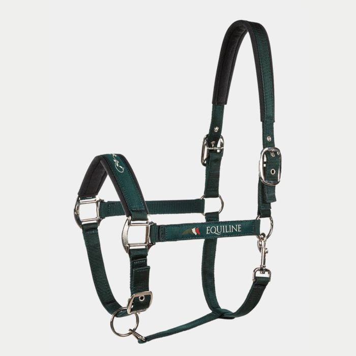 Cavezza Equiline Timmy