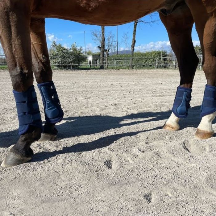 Stinchiere Antimosche Horses Fly Stop Blu - Protezioni Zampe Cavallo Con Tessuto Traspirante - Foto 13