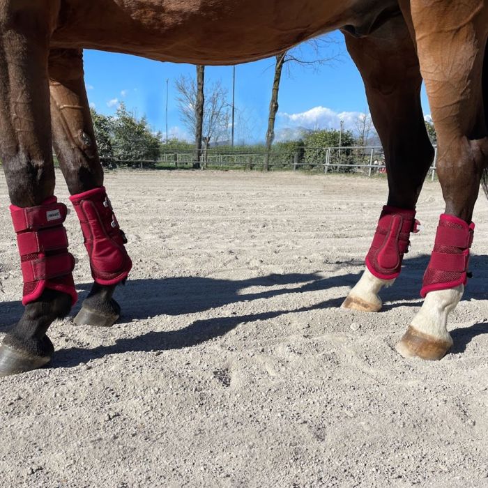 Protectores Horses Mesh Boots Conjunto Piezas Tosoni Selleria