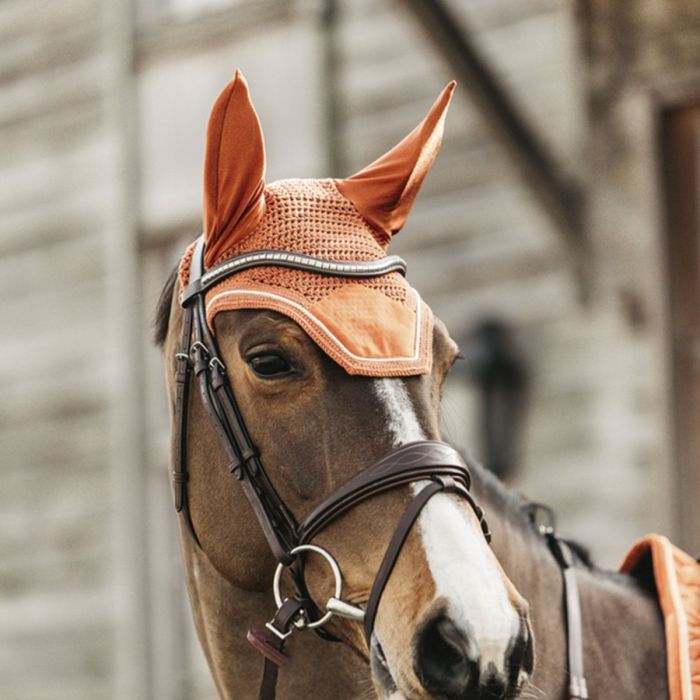 Bonnet D'oreille Pour Cheval Contre Les Mouches - Protection équestre En Polyester - Taille ~37x41 Cm - Orange