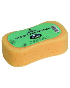 Spugna Grande Per Pulizia Carr&Day