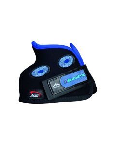 Paraglomi Veredus Magnetik Hoof 