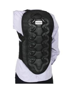 Salvaschiena Equitazione Horses