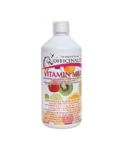  Vitamin Max Officinalis Sciroppo ml1000