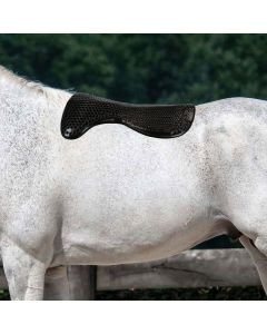 Alzasella In Gel Horses 