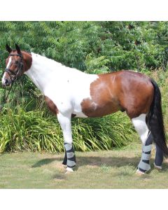 Paracolpi Trasporto Horses Heavy