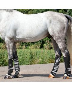 Horses Fly Zebra Boots
