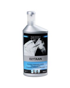 Elytaan Equistro Concentrato Elettroliti