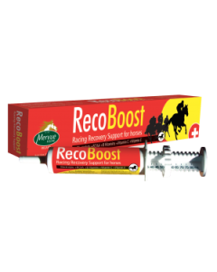 Mervue Recoboost Syringe 