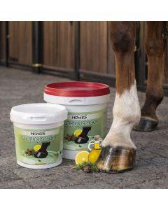 Grasso Zoccoli Horses Glorious Hoof