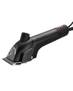 Tosatrice Heiniger Progress