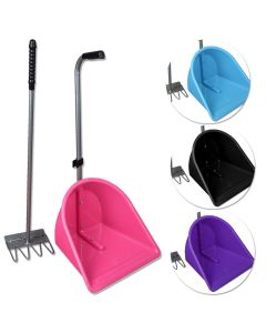 Recogedor con Rastrillo Tecno