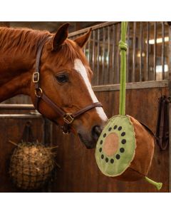 Gioco Da Box Horses Kiwi