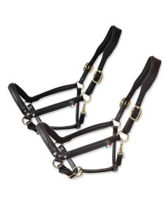 "Tasting Anatomic" Leather Headcollar