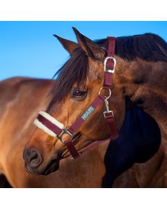 Licol Horses Winry avec Fourrure