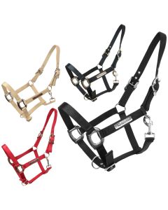 Cavezza Horses Scarlett