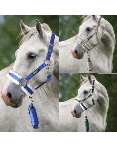 Cavezza e Longhina Horses Magghi