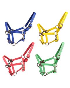 Cavezza Nylon Pony Horses Petite