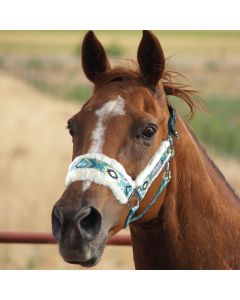 Cavezza e Longhina Horses Multicolor