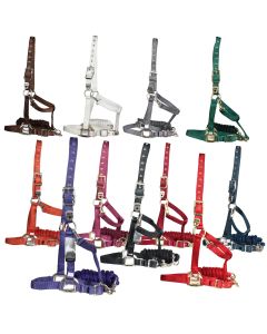 Cavezza con Lunghina