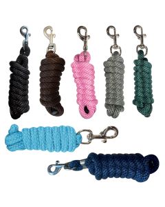 Longhina Horses Dream