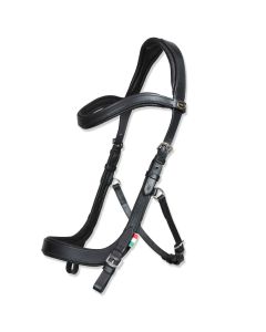 Brida Horses "Tasting Anatomic"