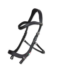 Briglia Horses "Tasting Anatomic"