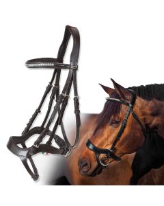 Horses Tasting Pro Bridle