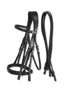 "Achen" Double Bridle with Reins