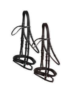 Horses Trensenzaum Senigallia 