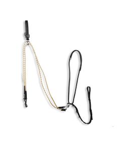 Gogue Addestramento Horses Training